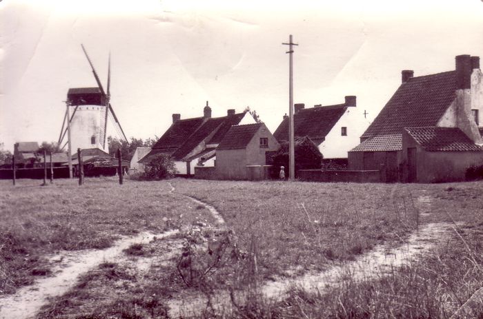 Molen