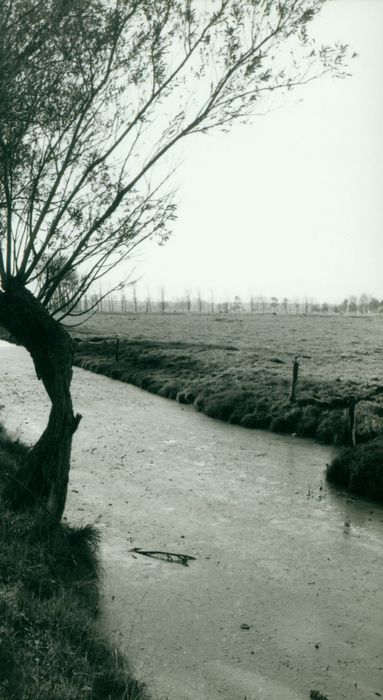 Landschap