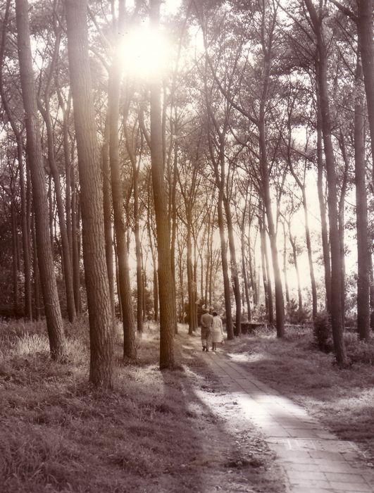 Zomer