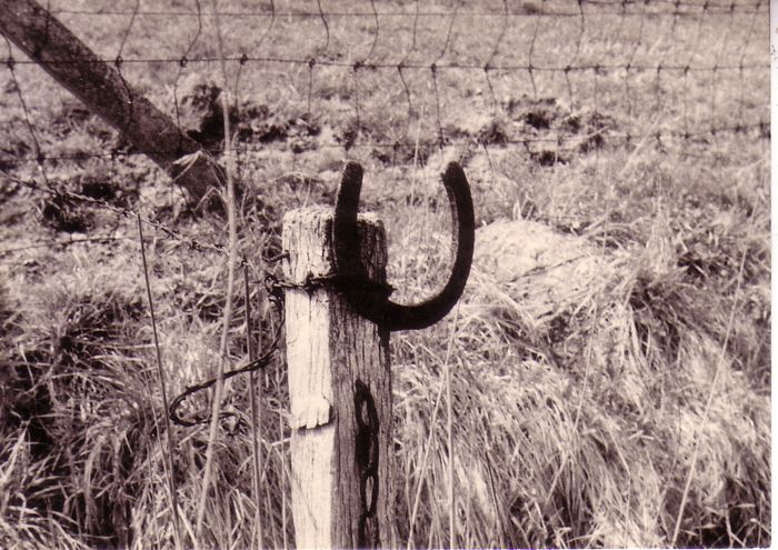 Landbouw