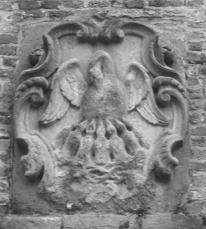 Afbeelding12