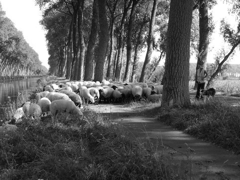 Afbeelding3